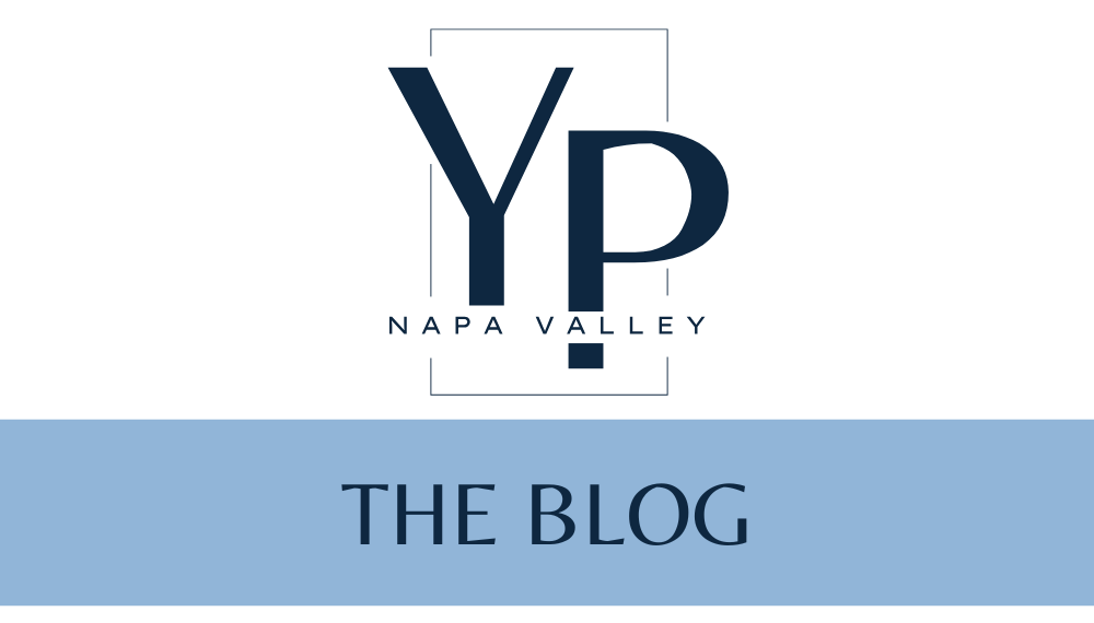 ypnv blog